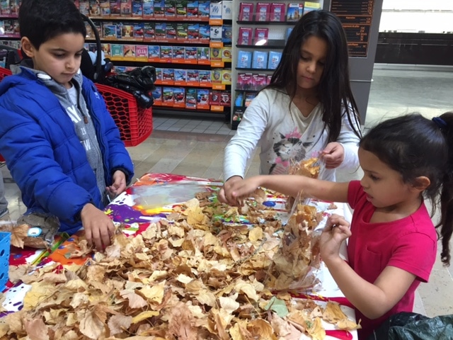 Chouette d’automne – Image 3