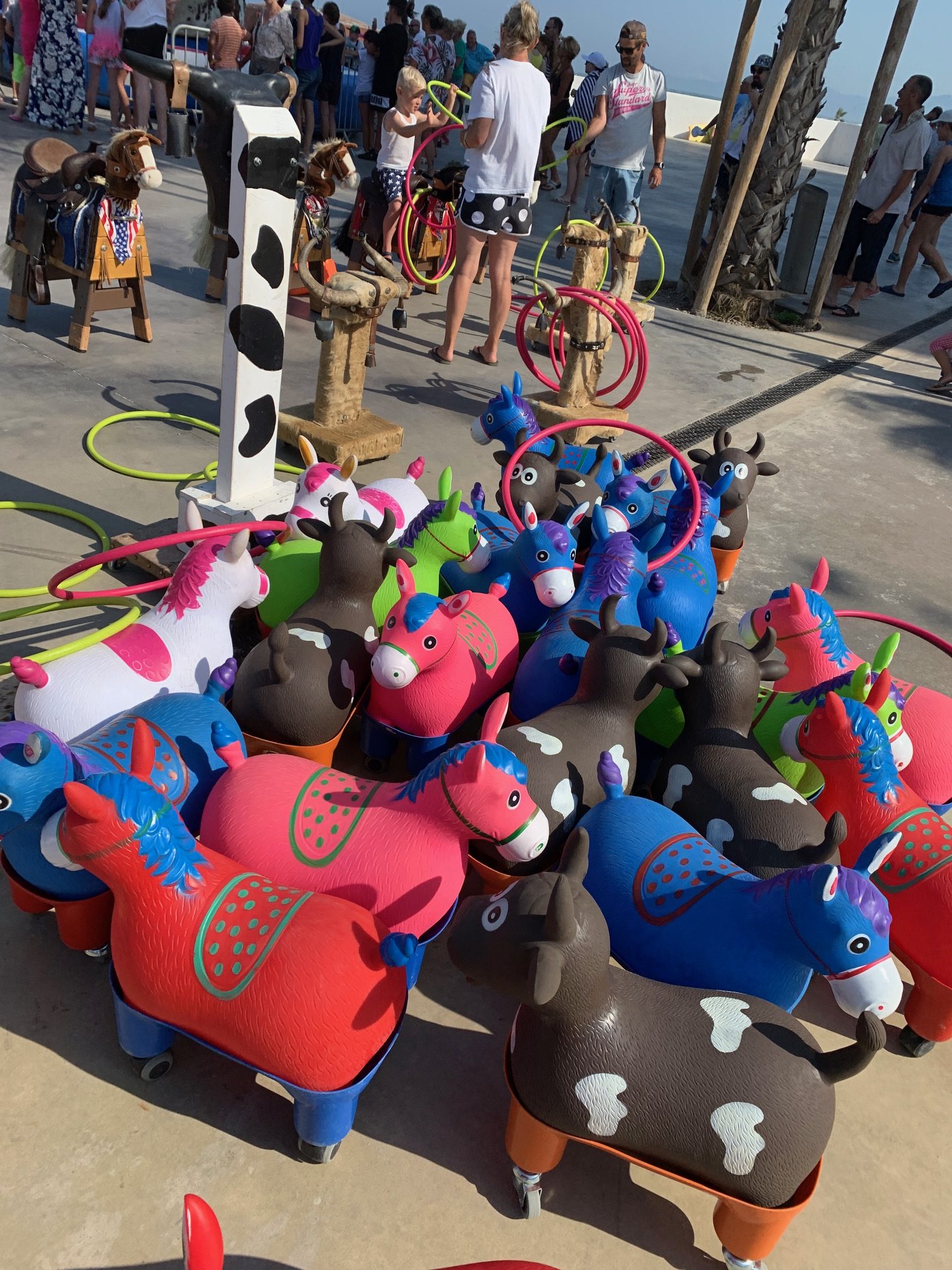 Animation western – Image 3