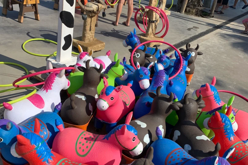 Séminaire d'entreprise écoresponsable en pleine nature pour renforcer la cohésion d'équipe