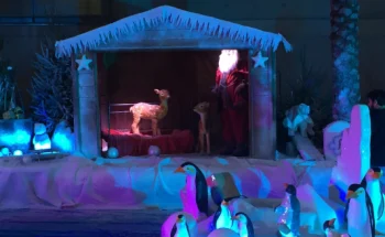 Décor de Noël féérique avec sapins illuminés et espace photo pour événements festifs